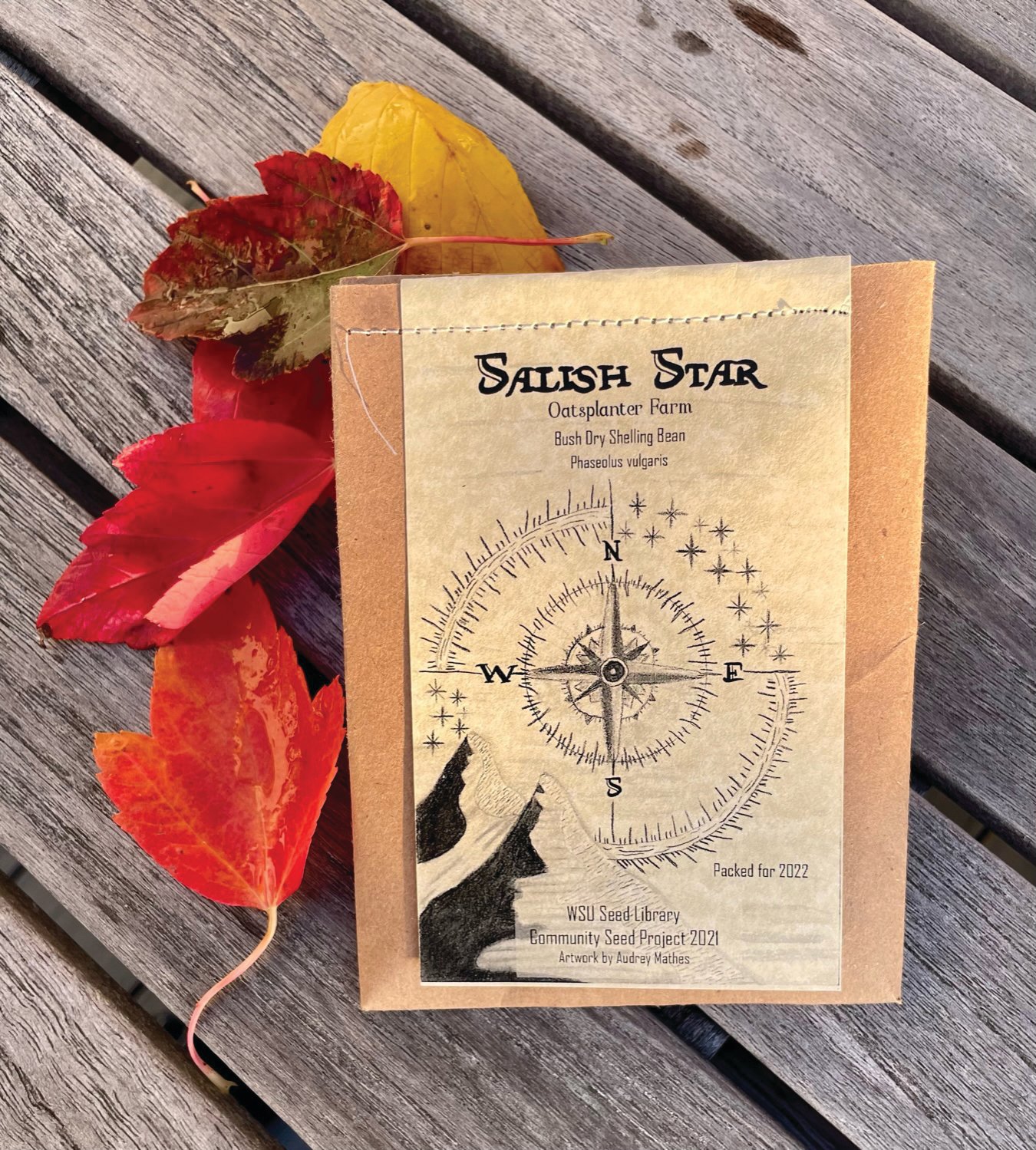 Chimacum art student Audrey Matthes designed the seed packet for the Salish Star black shelling bean developed at Oatsplanter Farm. The seed proved to be highly productive.